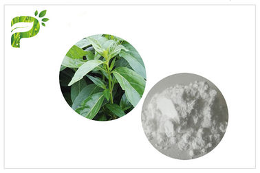 Cancer CAS d'Andrographolide d'extrait de fines herbes d'usine d'Andrographis Paniculata anti 5508 58 7