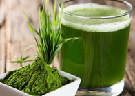 Poudre verte de jus d'herbe d'orge de poudre de santé de 100 mailles pour le complément alimentaire